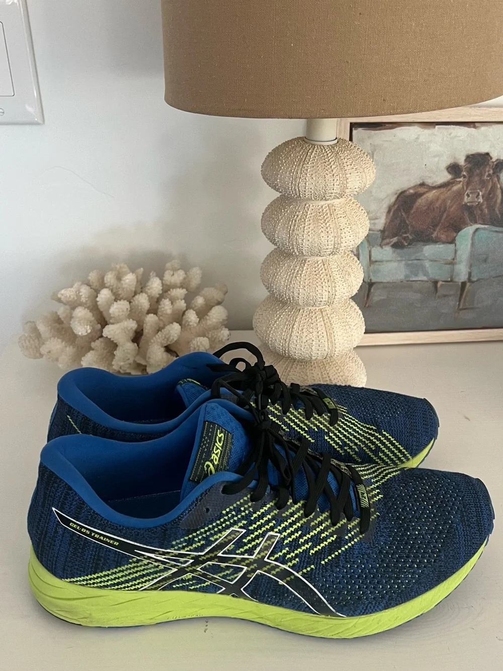 ASICS Gel-DS Trainer 24  Running Sneakers